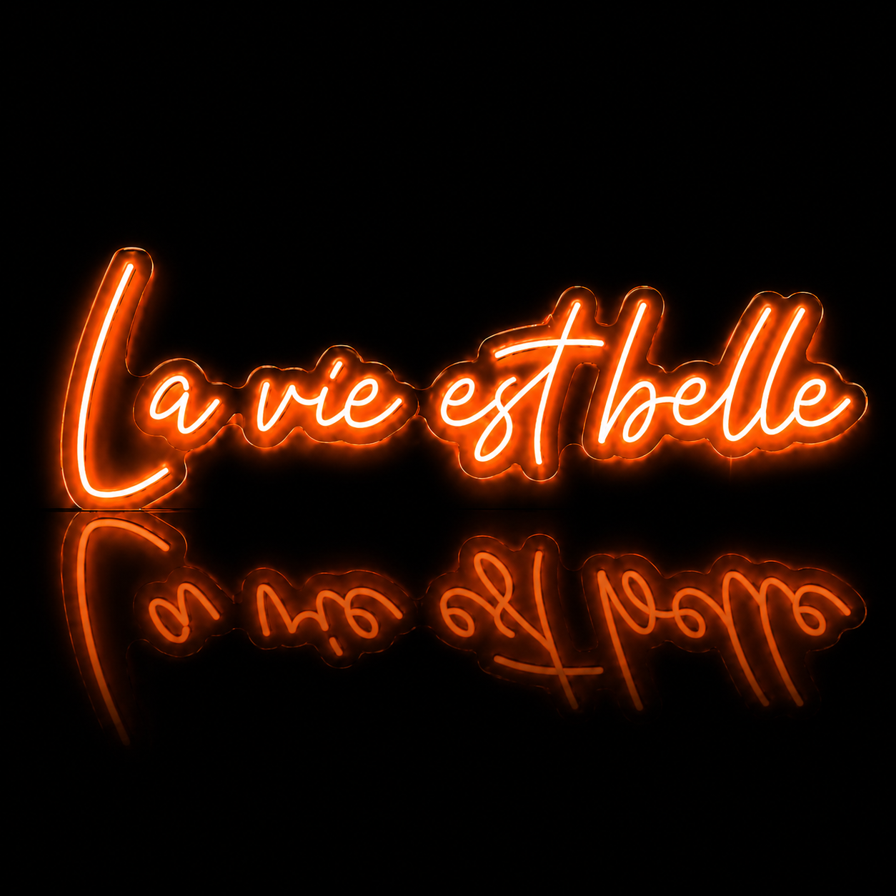 Néon LED C’est la Vie | Enseigne Lumineuse Design | Support Acrylique & Alimentation USB
