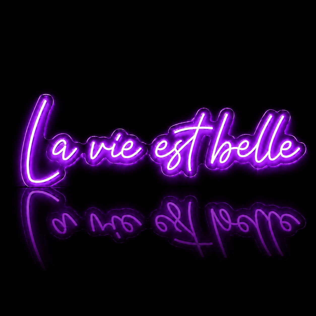 Néon LED C’est la Vie | Enseigne Lumineuse Design | Support Acrylique & Alimentation USB