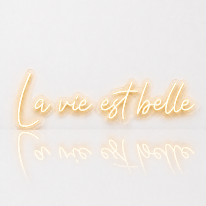 Néon LED C’est la Vie | Enseigne Lumineuse Design | Support Acrylique & Alimentation USB