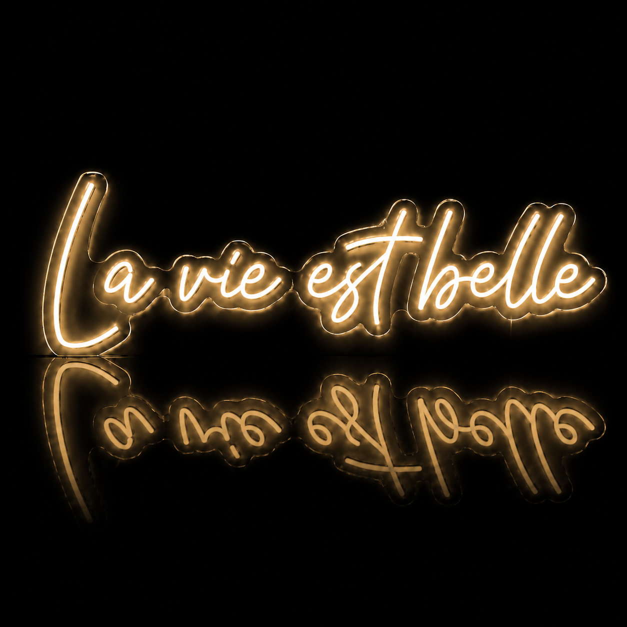 Néon LED C’est la Vie | Enseigne Lumineuse Design | Support Acrylique & Alimentation USB