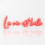 Néon LED C’est la Vie | Enseigne Lumineuse Design | Support Acrylique & Alimentation USB