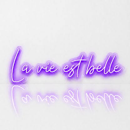 Néon LED C’est la Vie | Enseigne Lumineuse Design | Support Acrylique & Alimentation USB